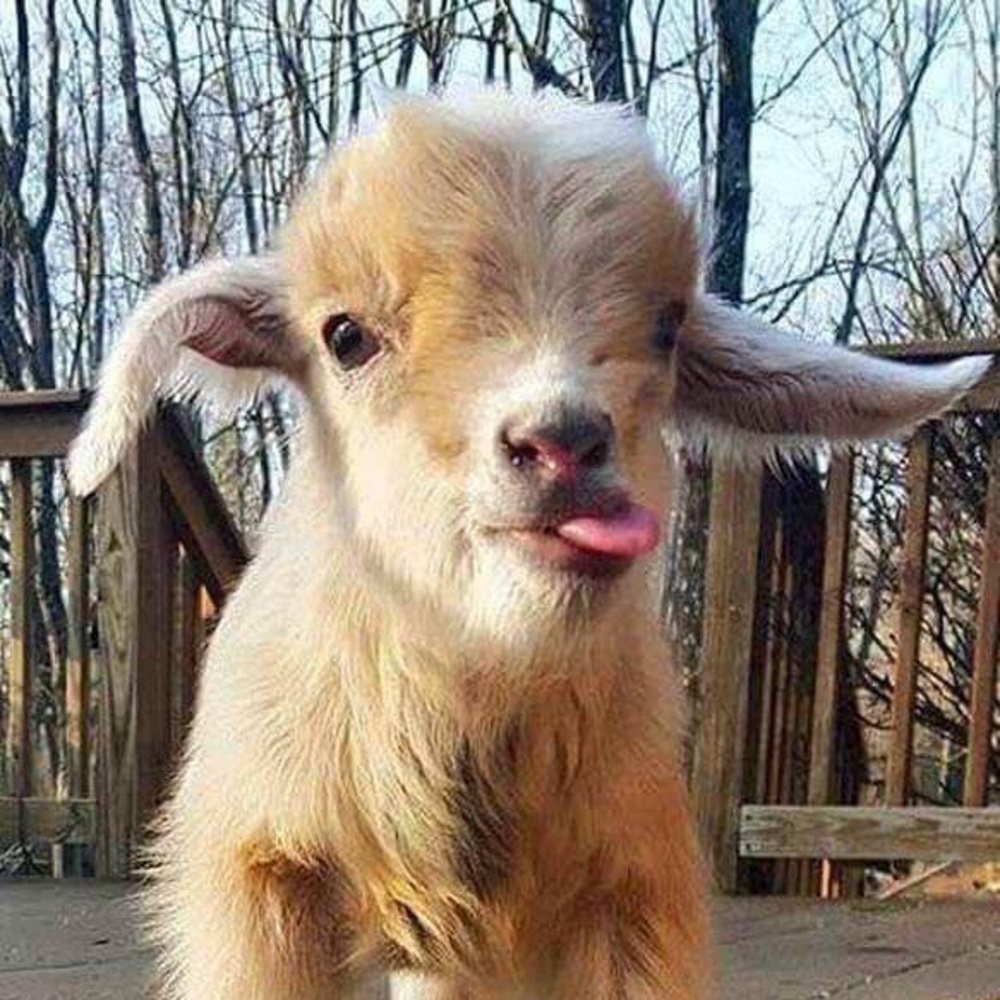 Meet your Posher, Christina